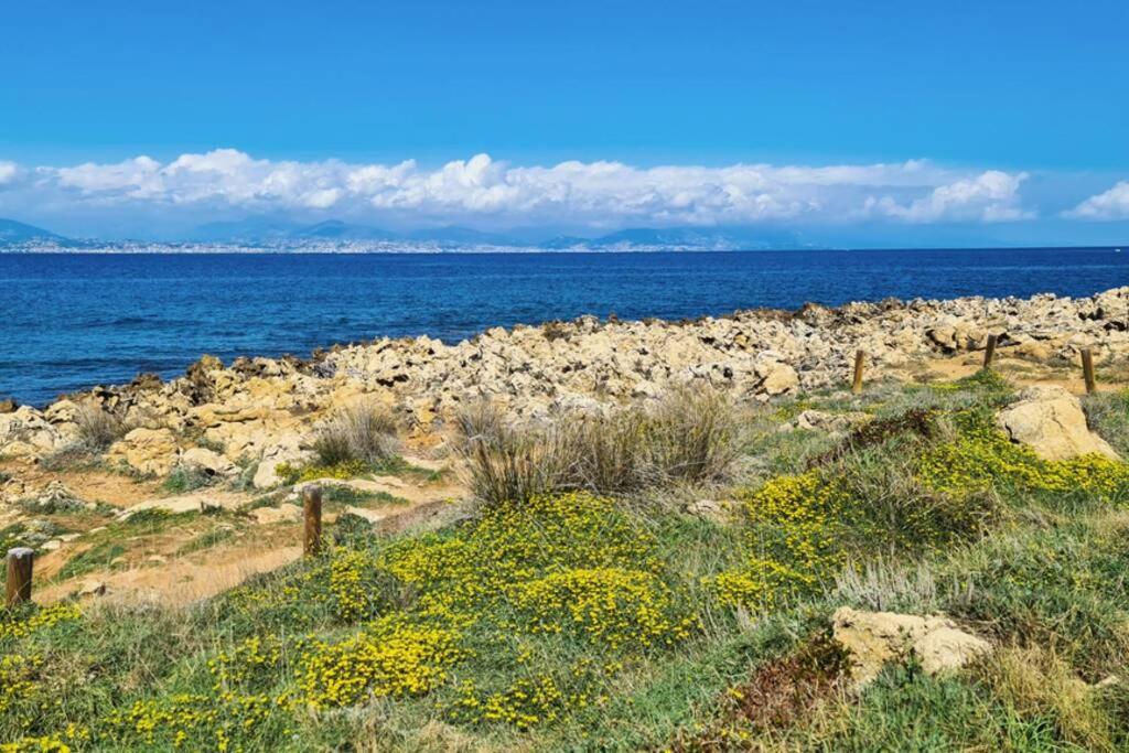 Casalionelantibes 70 Sqm Apartment With Garden And Parking Εξωτερικό φωτογραφία